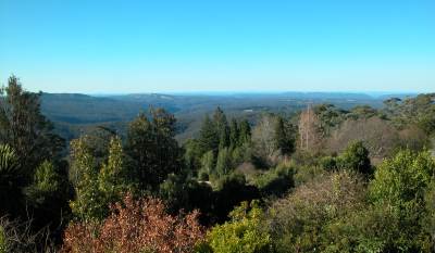 View from Mount Tomah Botanic Garden