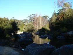 Mount Tomah Botanic Garden
