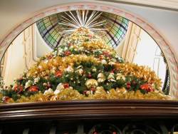 Queen Victoria Building - Christmas tree