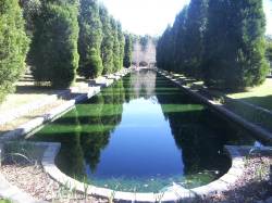 Auburn Botanic Gardens - reflection pool