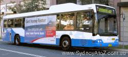 Typical bus from Sydney Buses fleet.