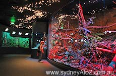 Sydney Wildlife World display